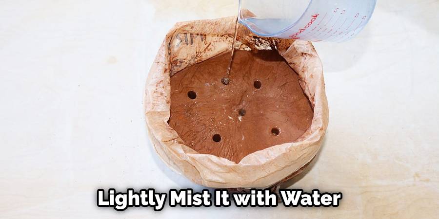 Lightly Mist It with Water