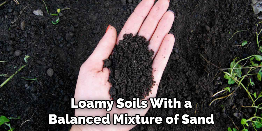 Loamy Soils With a Balanced Mixture of Sand