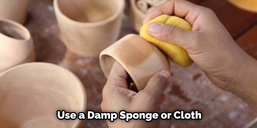 Use a Damp Sponge or Cloth