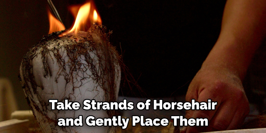 Take Strands of Horsehair and Gently Place Them