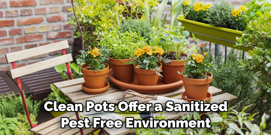 Clean Pots Offer a Sanitized Pest Free Environment