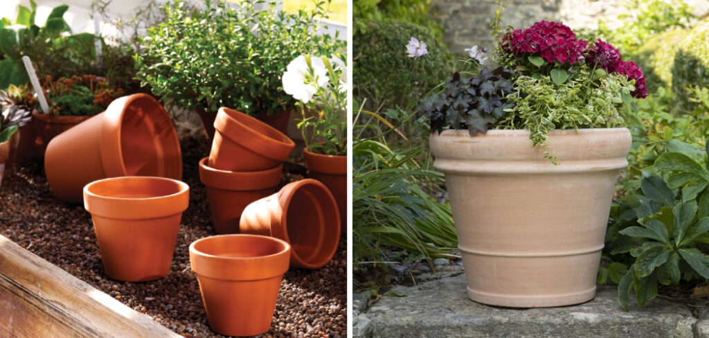 How to Clean a Clay Flower Pot