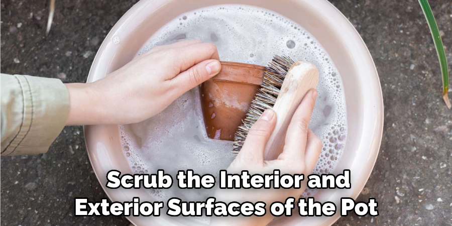 Scrub the Interior and Exterior Surfaces of the Pot