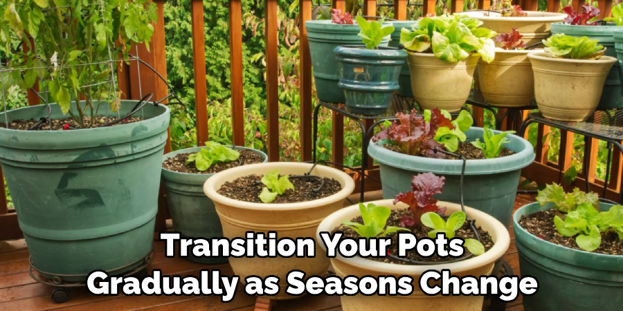 Transition Your Pots Gradually as Seasons Change