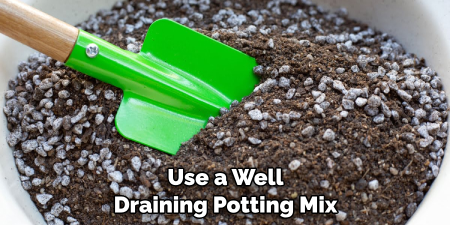 Use a Well Draining Potting Mix